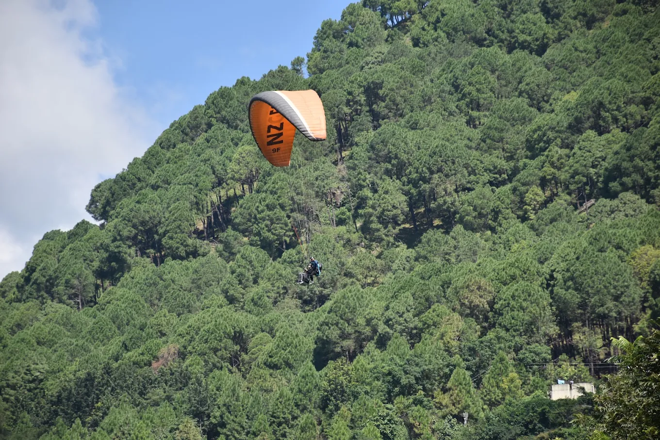 Paragliding in Dharamshala